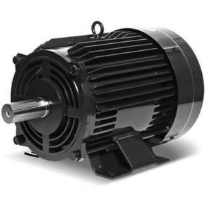 electric motor