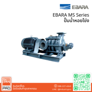 EBARA MS Series