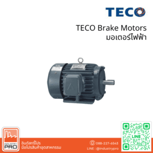 TECO Brake Motors
